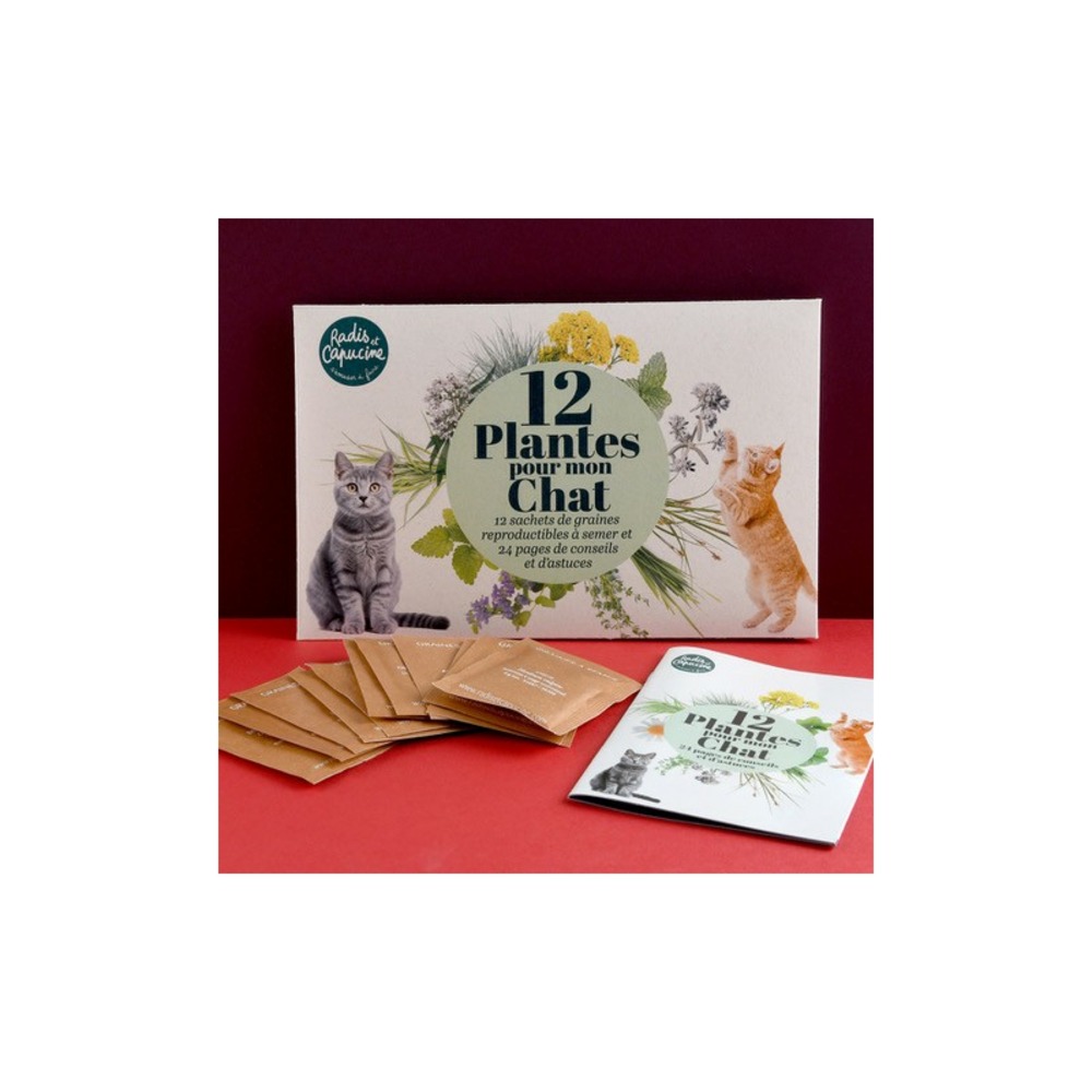 Enveloppe de graines jardiner pour mon chat (12 variétés)