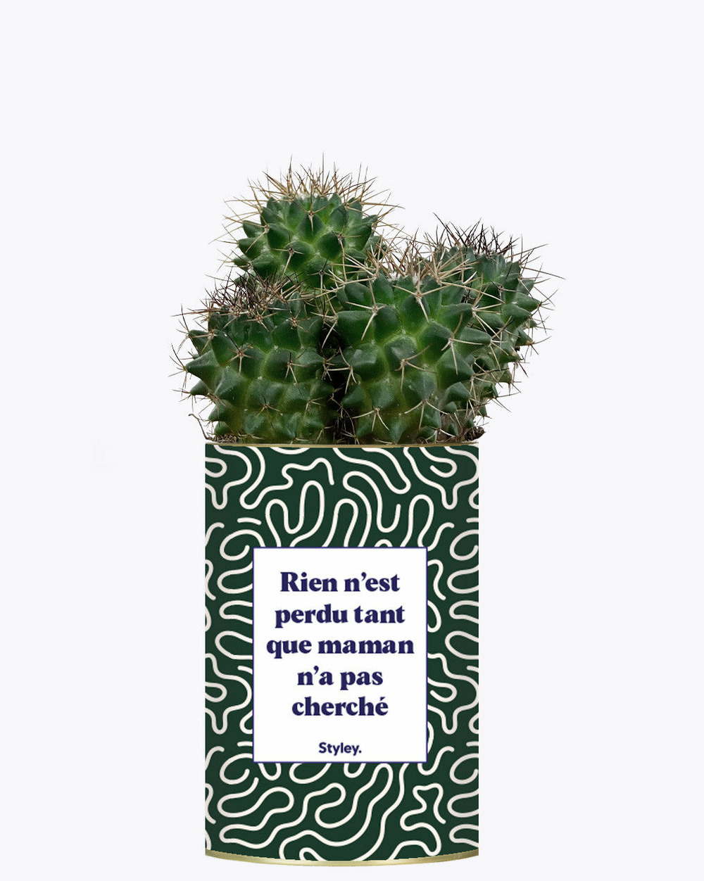 Plante personnalisée - rien n'est perdu tant que maman n'a pas cherché - cactus