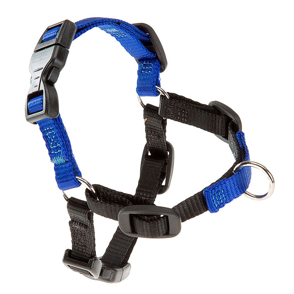 Ferplast harnais chien coach grande taille, harnais pour dressage de chiens qui empêche les tractions pendant les promenades,
