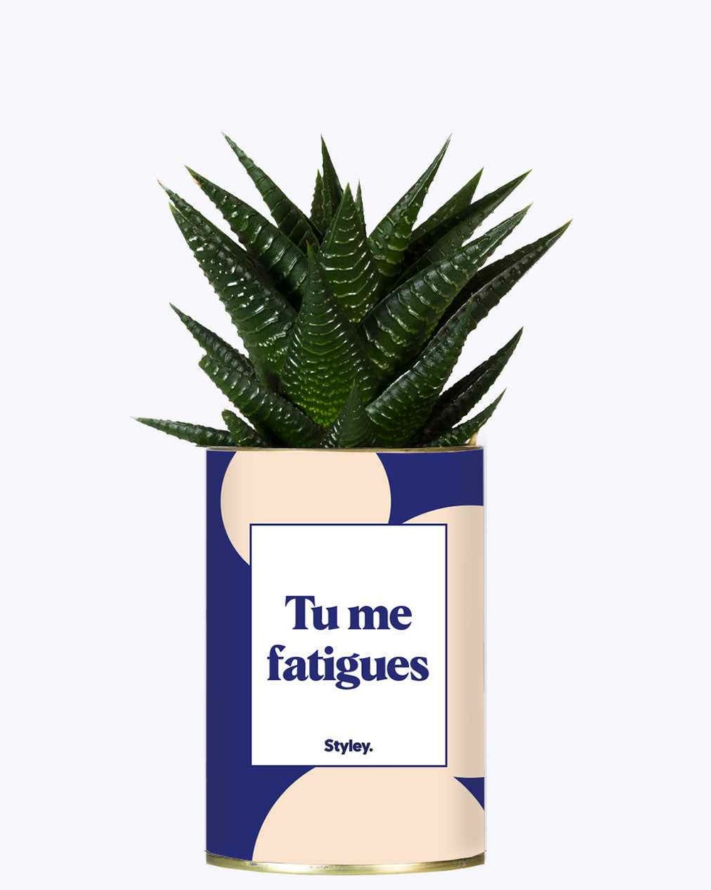 Plante personnalisée - tu me fatigues - cactus