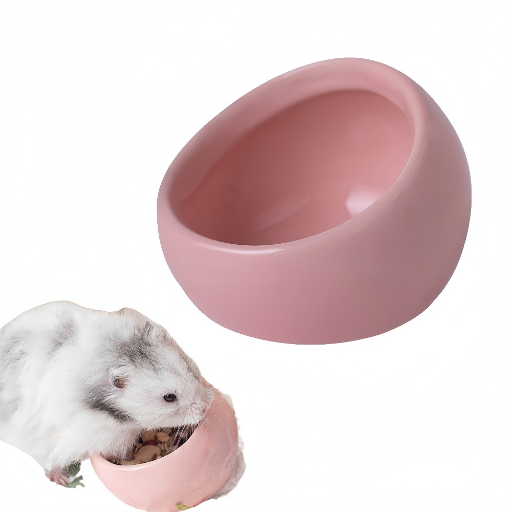 Bol en céramique pour rongeurs