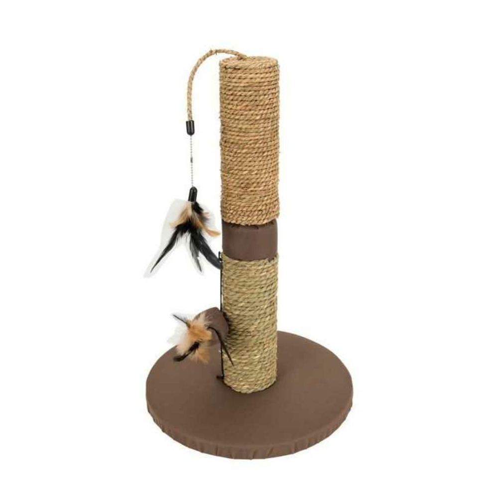 Aime poteau griffoir simple - pour chat