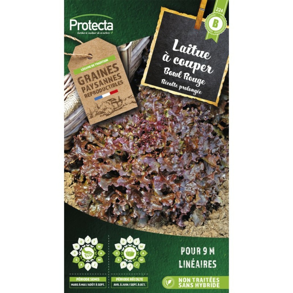 Graines paysannes - laitue à couper red salad bowl
