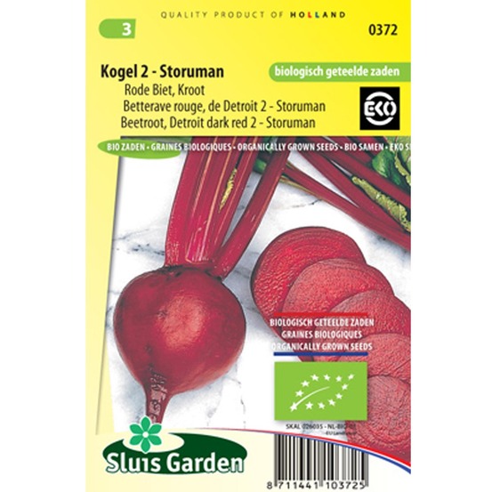 Poirée 'rouge de detroit - storuman' le sachet de 240 graines environ (4g)