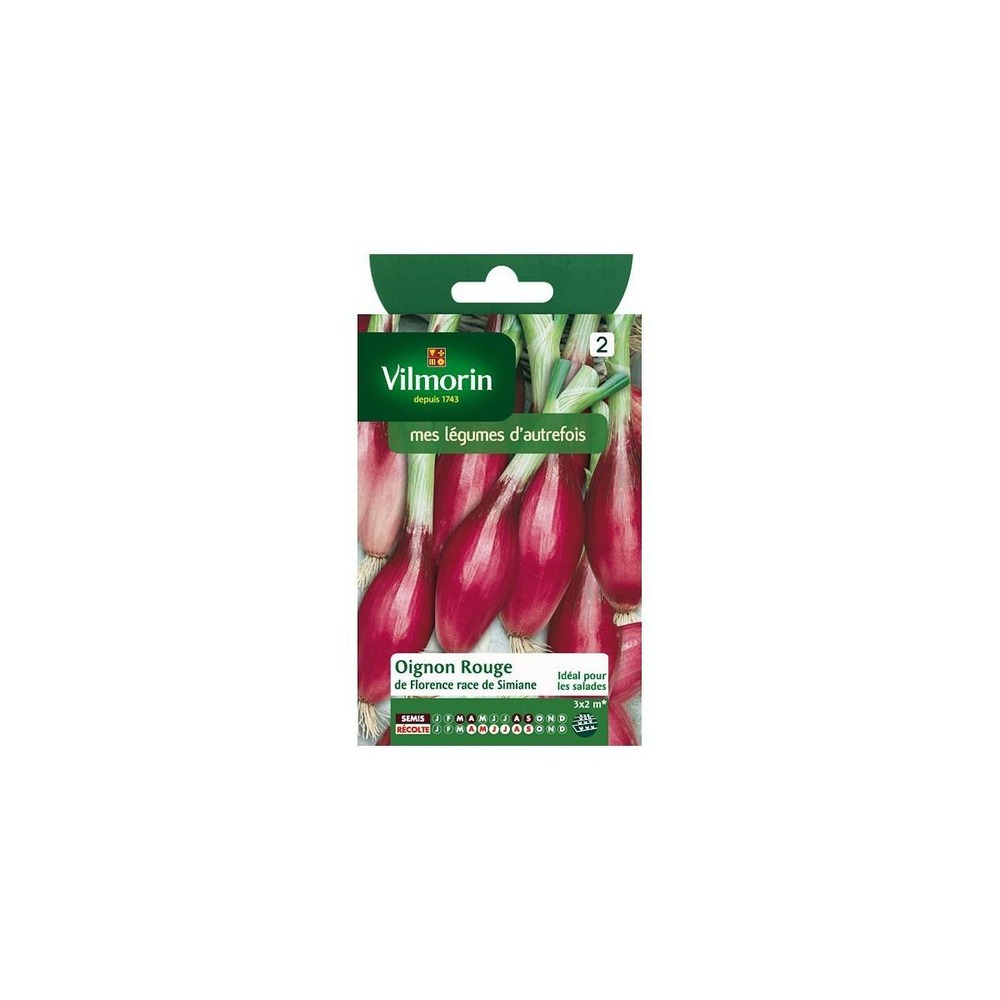 Sachet graines oignon rouge de florence race de simiane