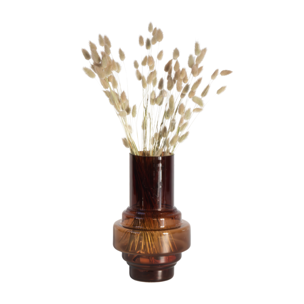 Fleurs séchées - bouquet 'lagurus bunny ears'