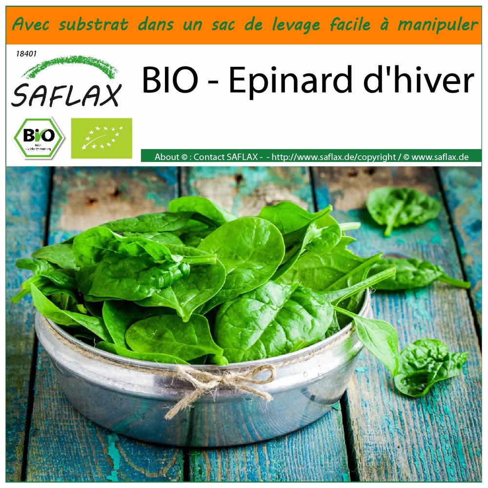 Garden in the bag - bio - epinard d'hiver - 250 graines - spinacia oleracea