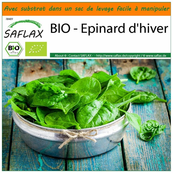 Garden in the bag - bio - epinard d'hiver - 250 graines - spinacia oleracea