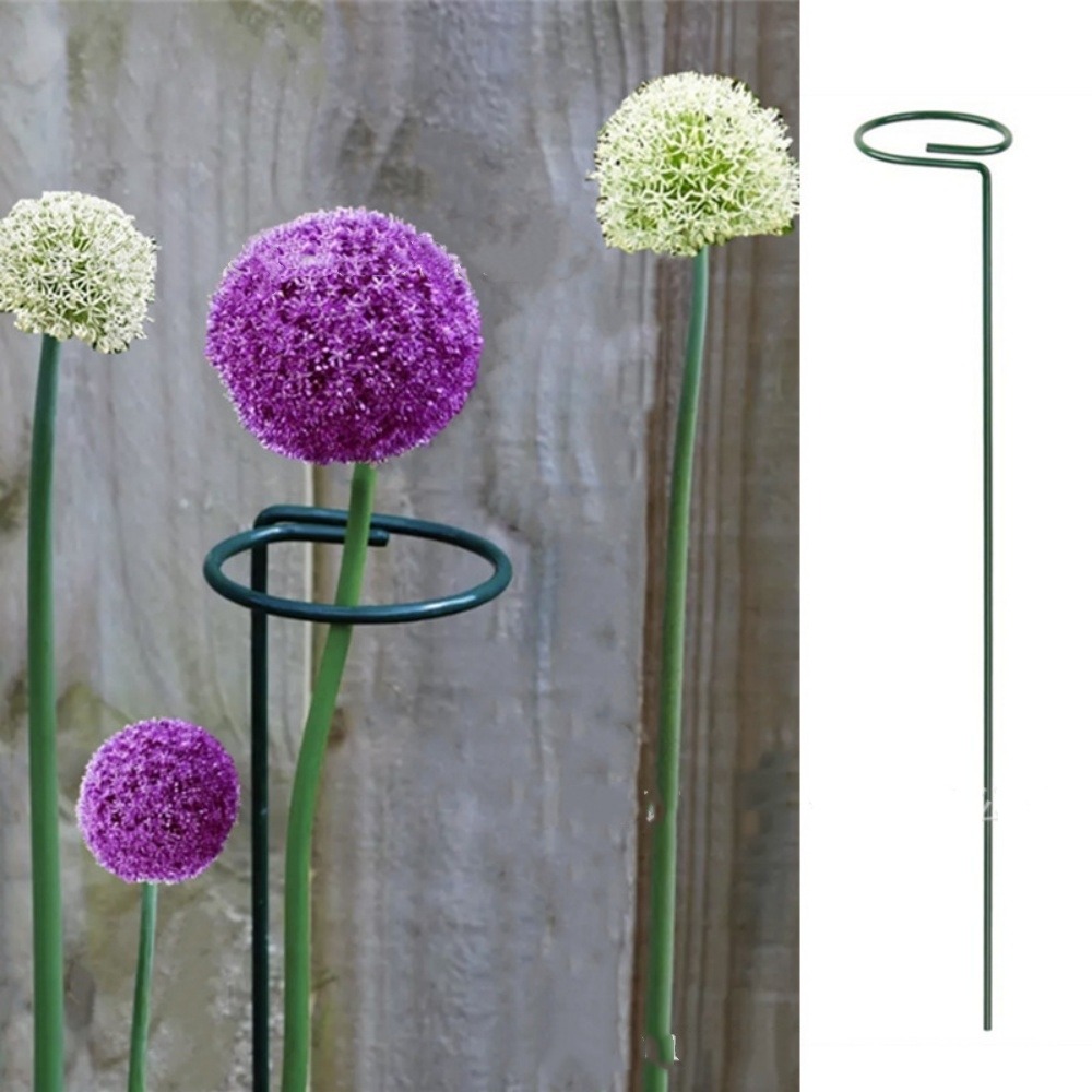 Supports pour fleurs en fer forgé 35cm, 10 pièces dtopbuyage