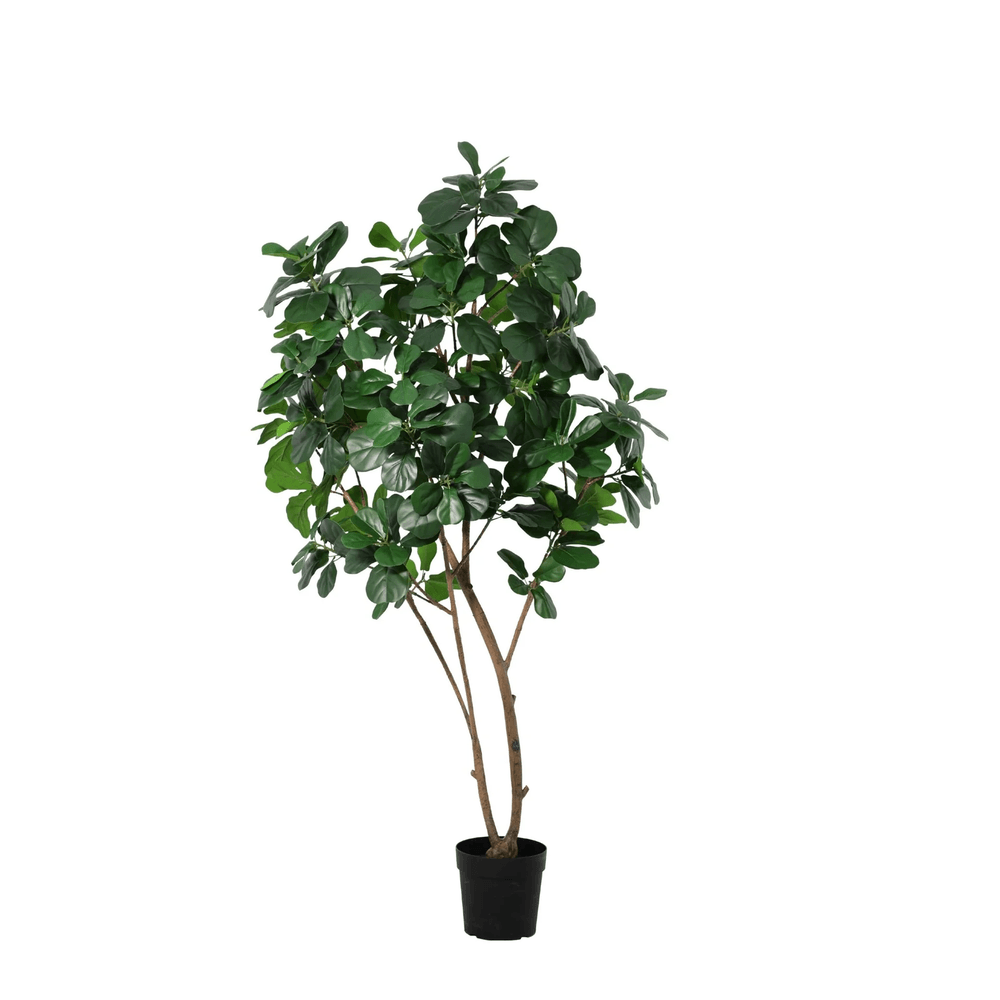 Ficus lyrata - 180cm - ø25cm - plante artificielle