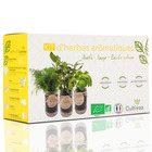 Cultivea kit prêt à pousser d’herbes aromatiques – aneth, sauge, basilic citron