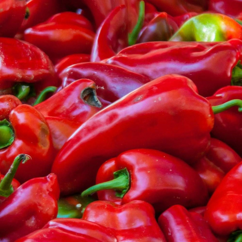 Graines de poivron doux d'espagne - prix malin sachet