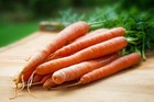 Sachet de graines de carotte d'amsterdam - sachet de 5 grammes - petite entreprise française