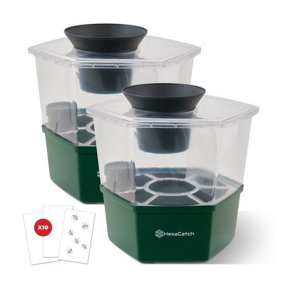 Hexacatch 2 pièges anti-pontes moustiques