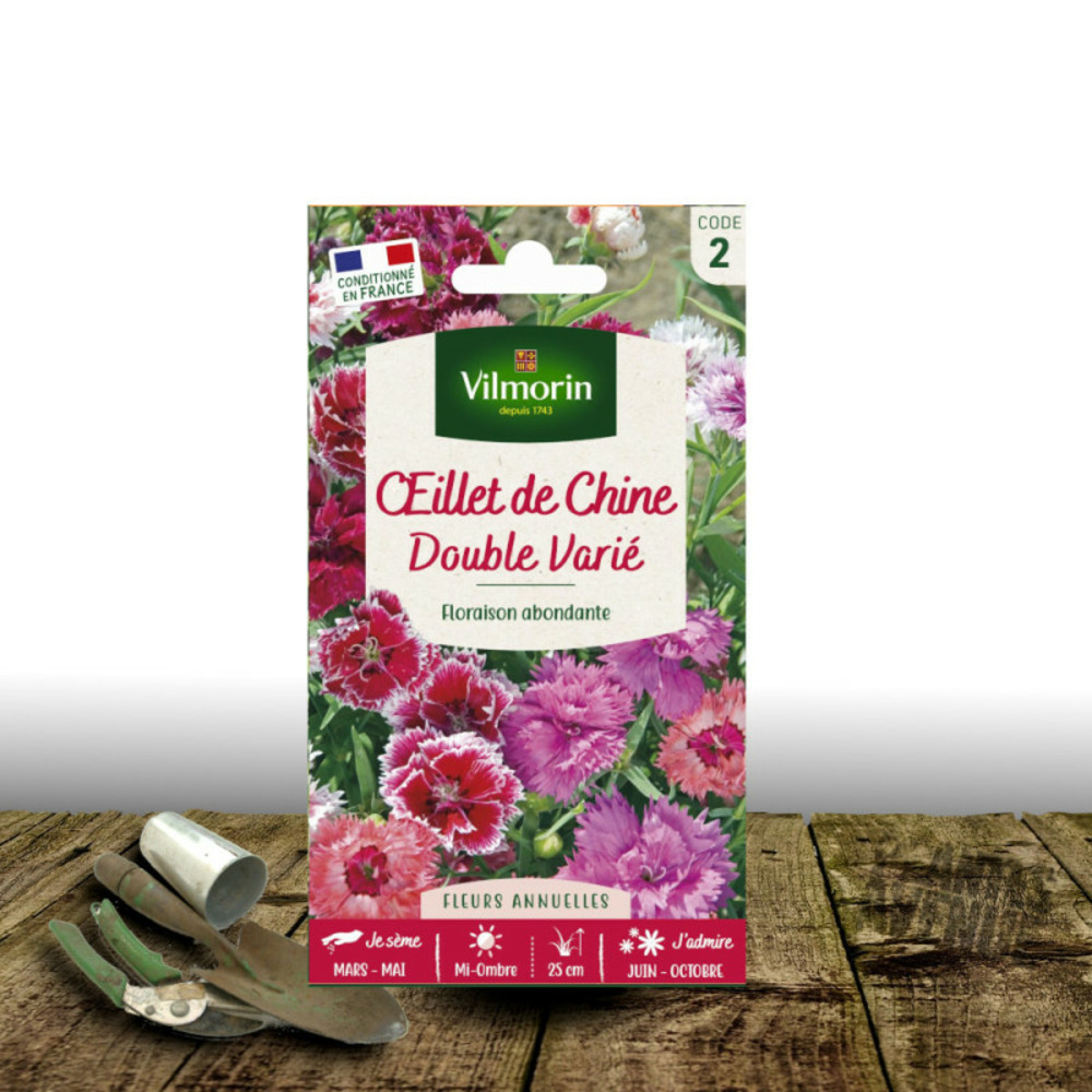 Graines d'oeillet de chine double varié - vilmorin sachet