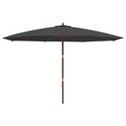 Parasol de jardin avec mât en bois 400 x 273 cm noir