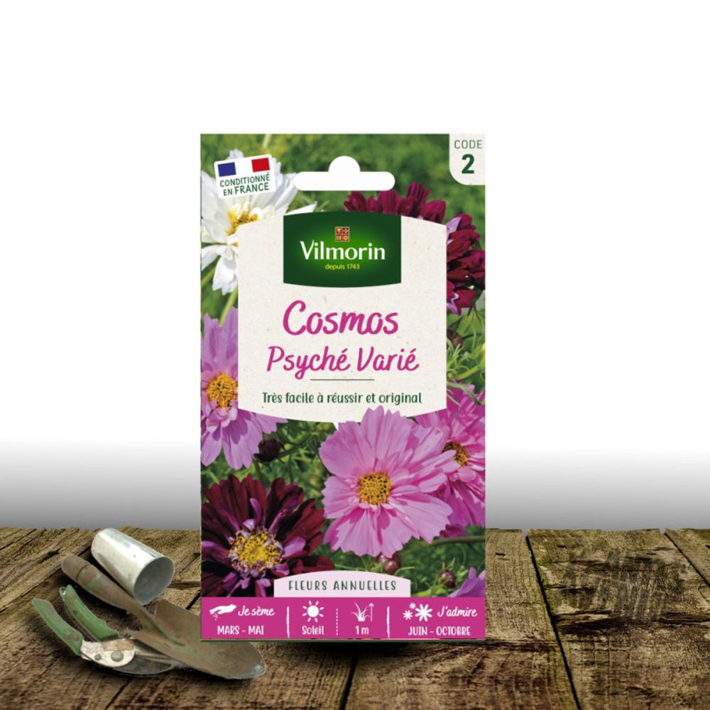 Graines de cosmos psychée varié - vilmorin sachet