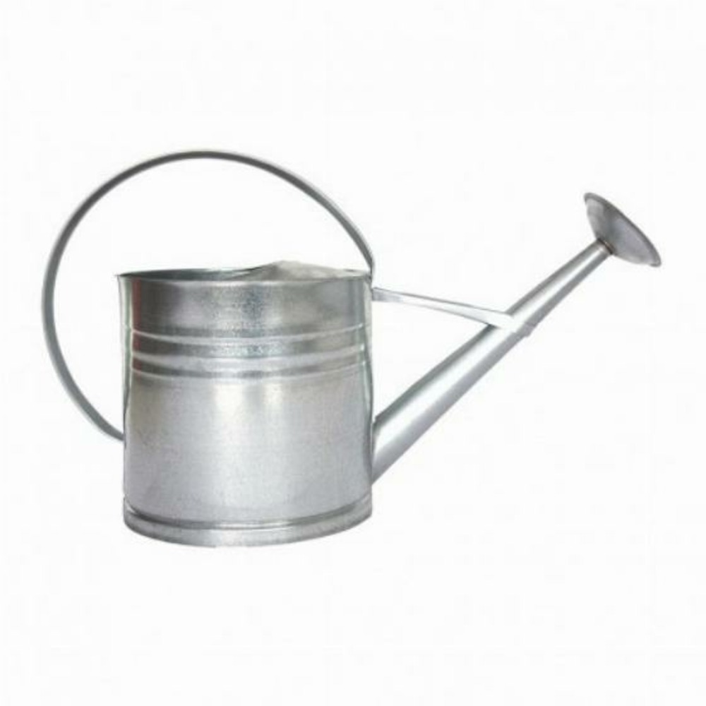 Arrosoir zinc 10l