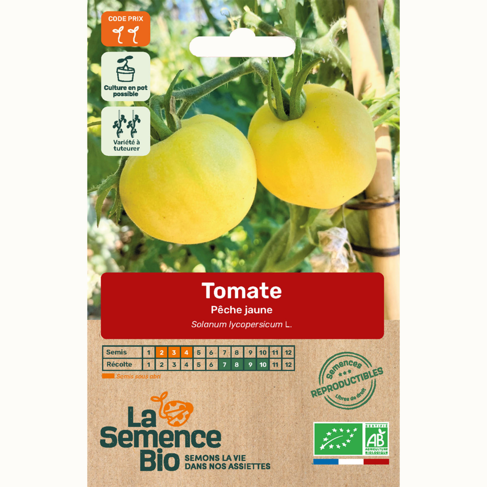 Tomate pêche jaune - graines bio