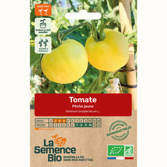 Tomate pêche jaune - graines bio