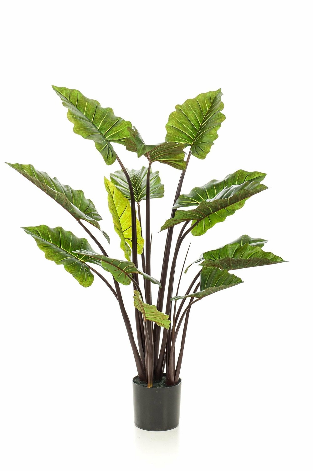 Colocasia pink china plante artificielle - h130cm, ø15cm