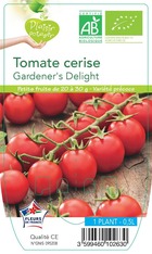 Tomate cerise gardener's delight -plant ab en  pot 0.5 l-plante du jardin