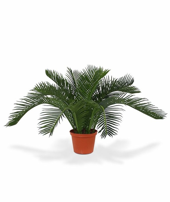 Palmier artificielle de cycas n 50 cm