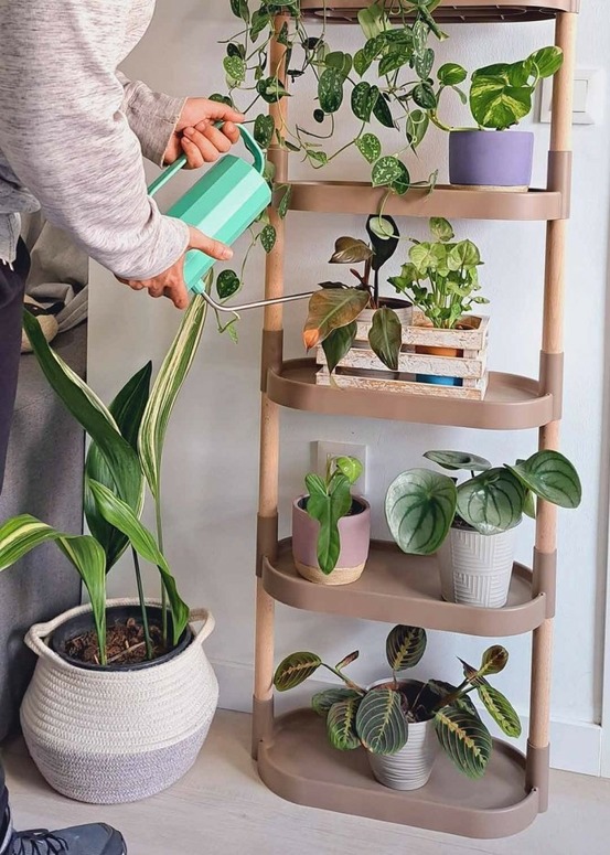 Étagère citysens pour plantes, couleur écorce de pin, avec 6 plateaux.