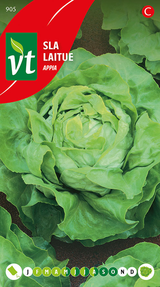 Laitue appia - ca. 3 gr (livraison gratuite)