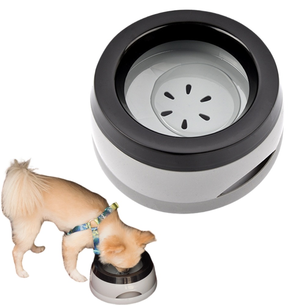 Bols d'eau potable pour chats et chiens