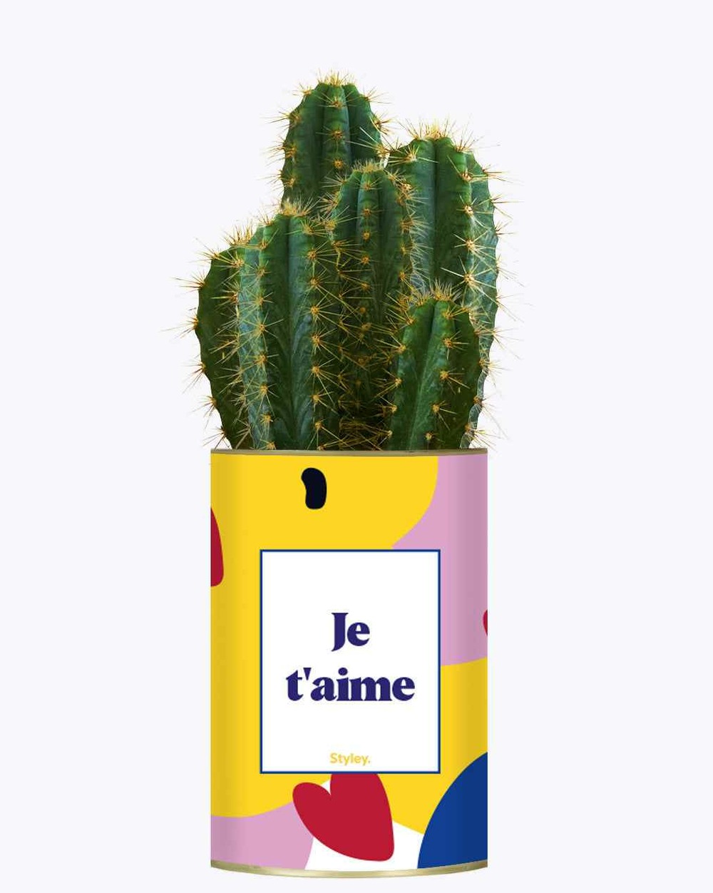 Idée cadeau - je t'aime - cactus