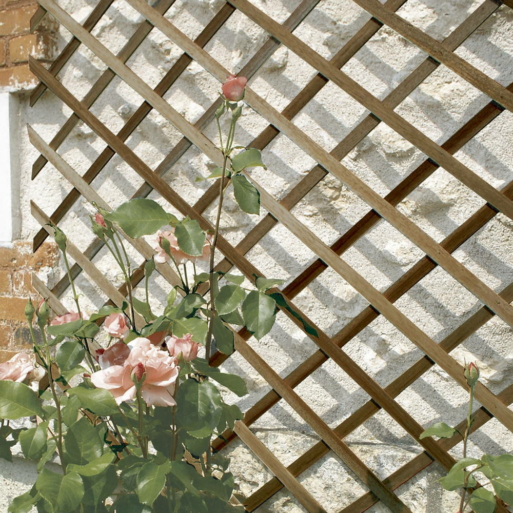 Treillis en bois fsc extensible trelliwood - 1 x 3 m - marron
