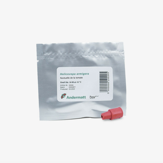 Phéromone noctuelle de la tomate