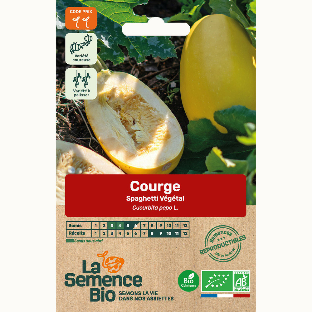 Courge spaghetti végétal - graines bio