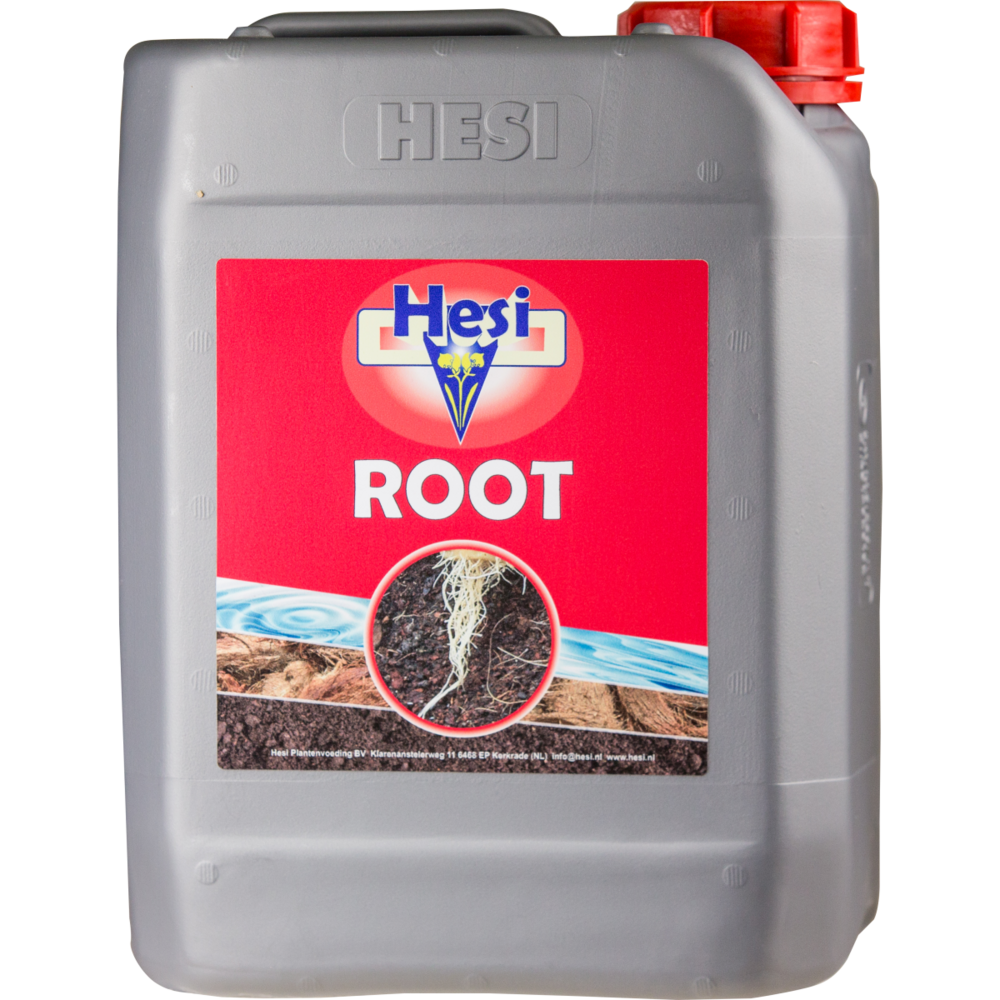 Stimulant racinaire root