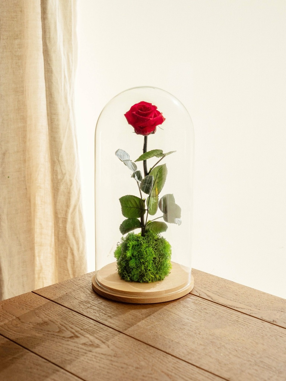 Très grande rose éternelle sous cloche - blanche