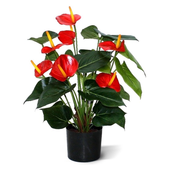 Anthurium plante artificiele deluxe rouge 50cm