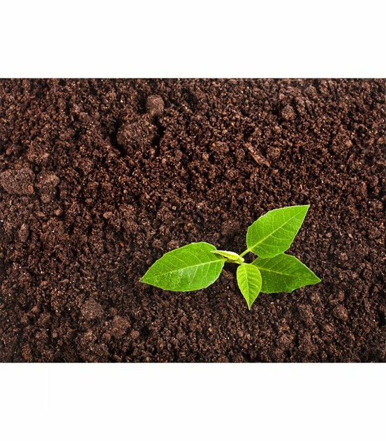 Paillage compost bio pour la fertilité du sol 10x20kg racine pro117-10x20