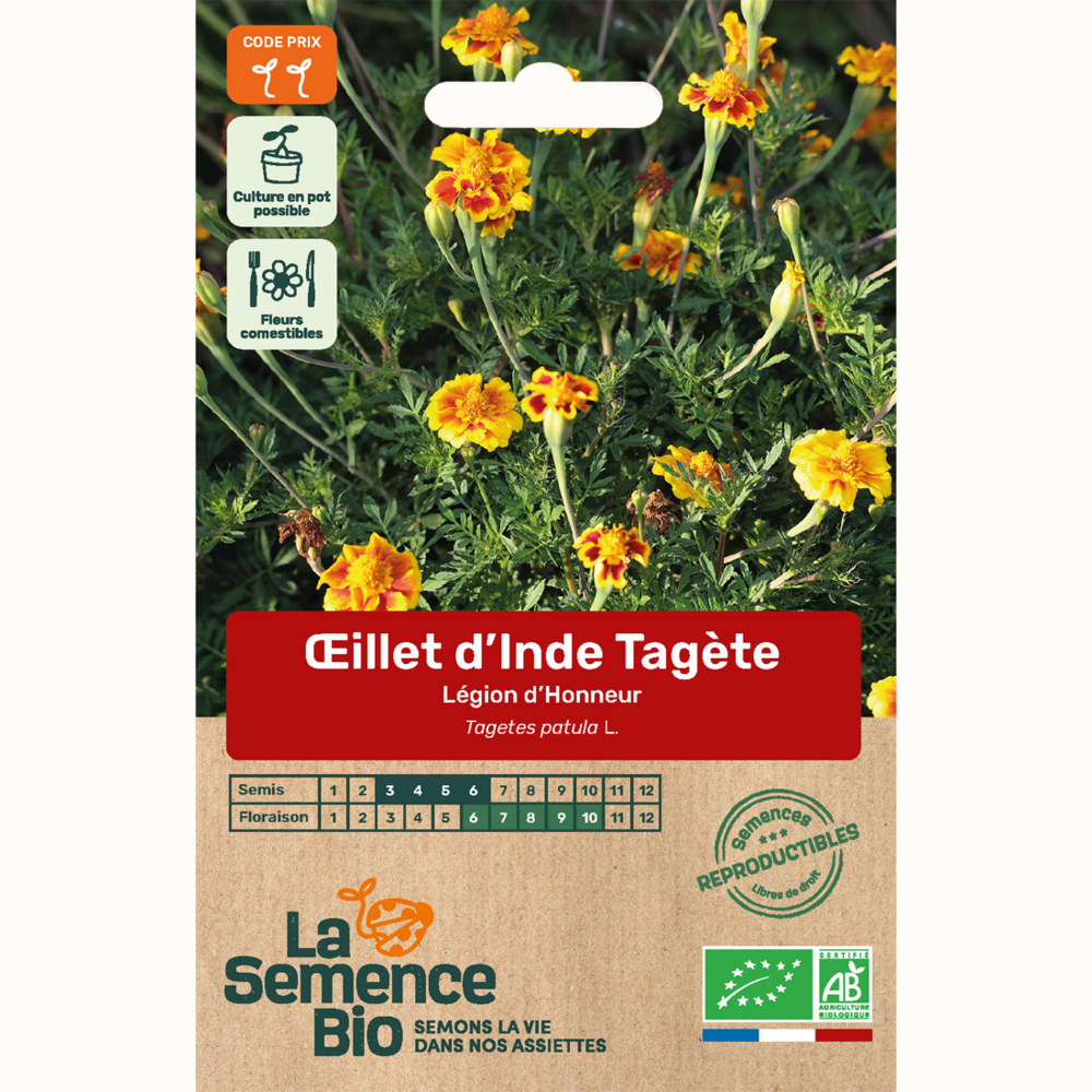 'illet d'inde tagète légion d'honneur - graines bio