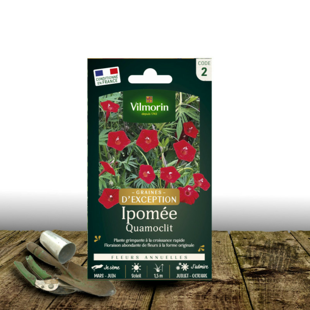 Graines d'ipomée quamoclit à petites fleurs écarlates - vilmorin sachet