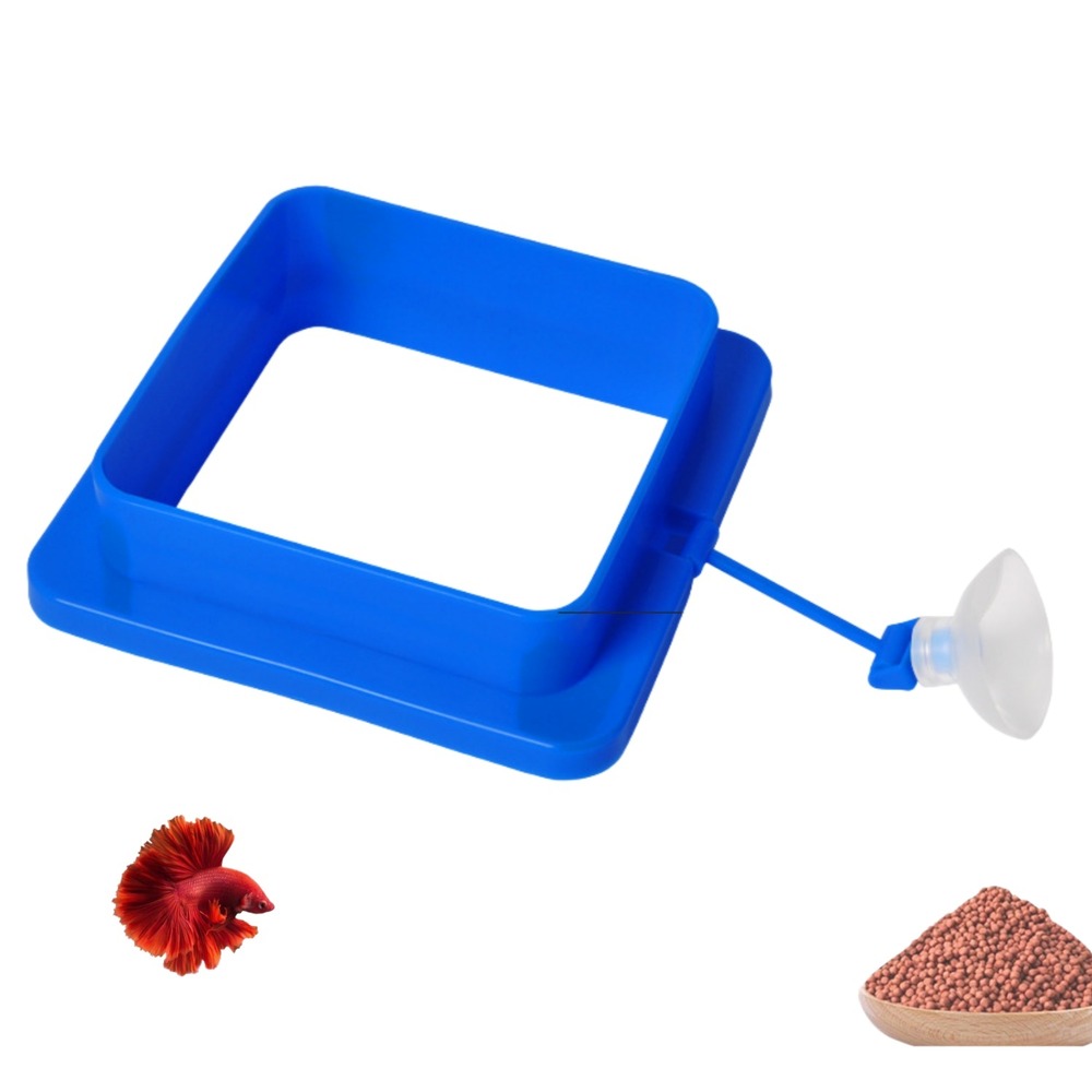 Anneau nourrisseur carré flottant