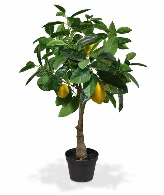 Citronnier plante artificielle de 70 cm