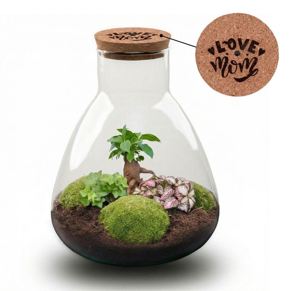 Terrarium à composer bouteille en verre recyclé - ø24-h30cm - sans outils - bouchon led - terrarium diy