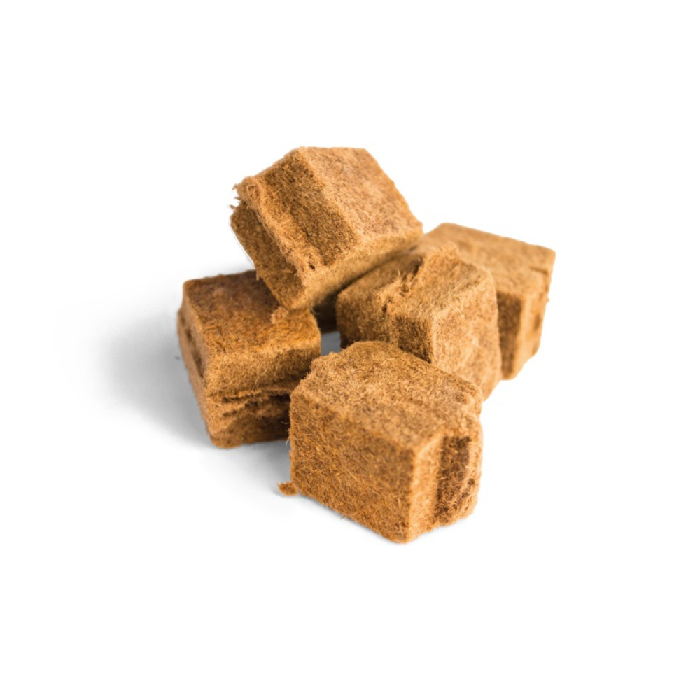Cubes allume feu écologiques napoleon - 100 pièces
