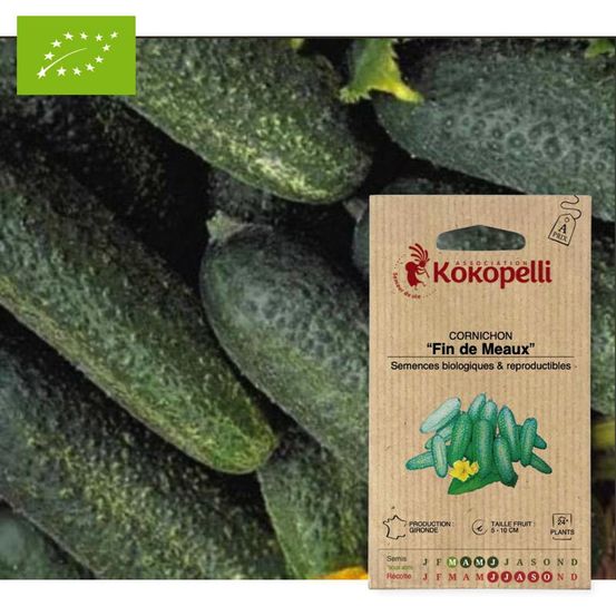 Cornichon fin de meaux- graines bio à semer