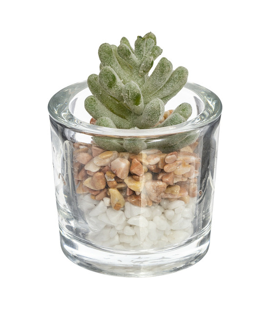 Plante grasse artificielle pot en verre d 6,5 x h 10 cm