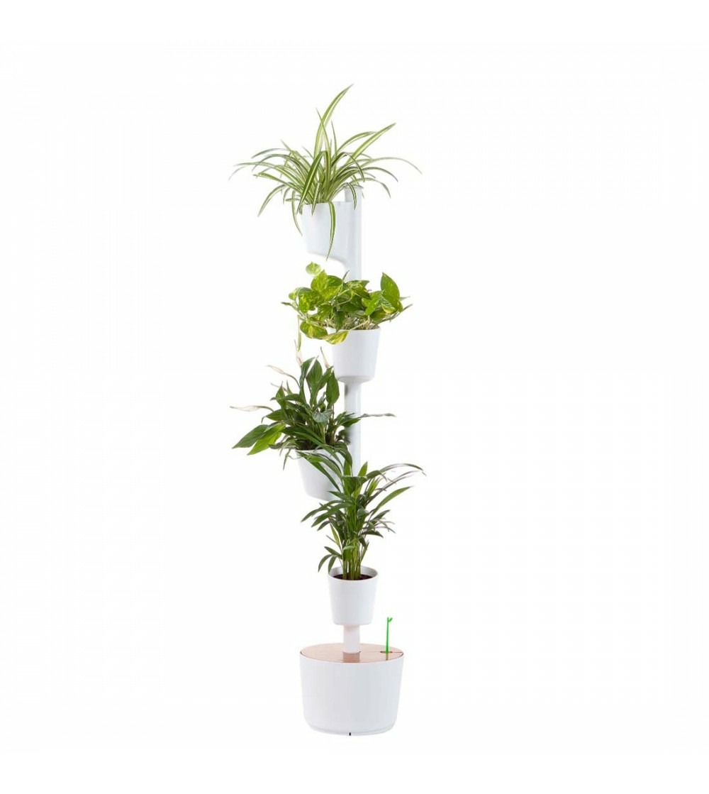 Lot de plantes purificatrices et jardinière verticale citysens blanche avec 4 pots et arrosage automatique