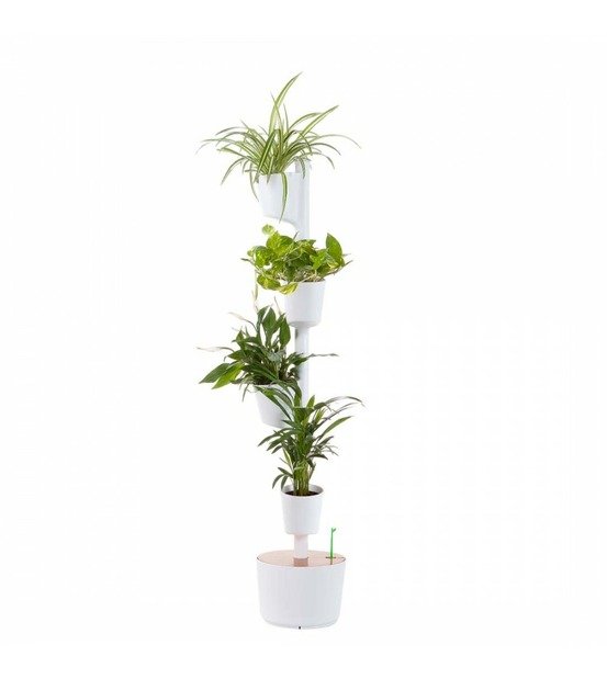Lot de plantes purificatrices et jardinière verticale citysens blanche avec 4 pots et arrosage automatique