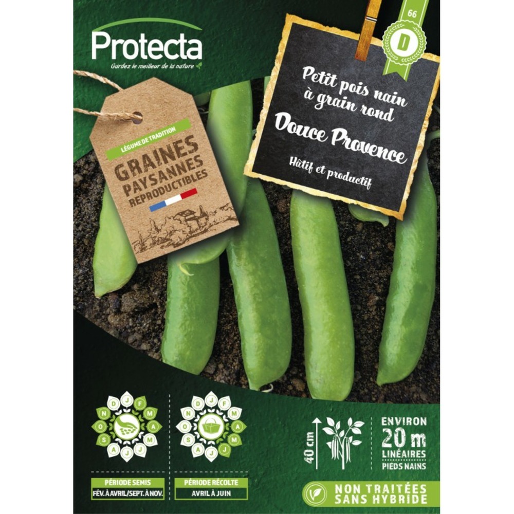 Graines paysannes - pois nain à grain rond douce provence