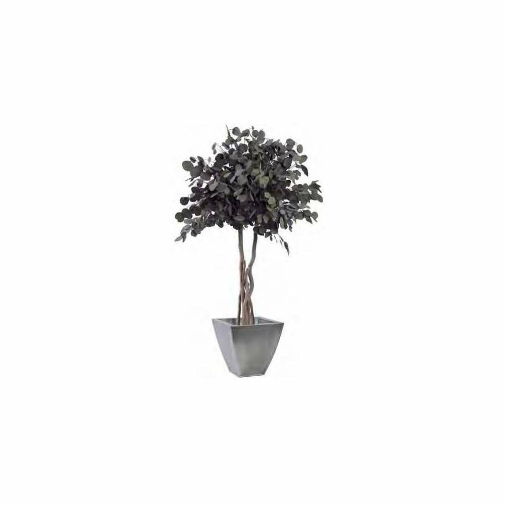 Arbre stabilisé eucalyptus populus 130cm